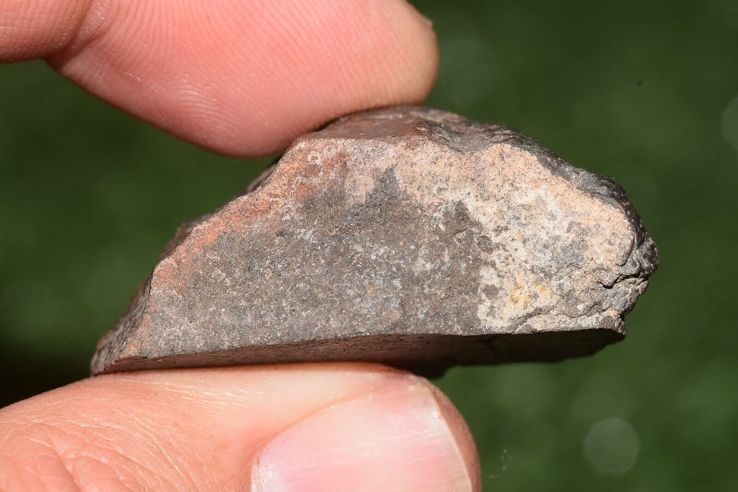 Meteorite chondrite Brownish L6 15406 Endcut 23.6 g - MeteoriteNwa.com