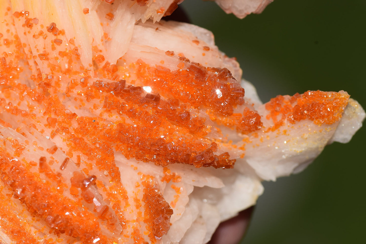 Vanadinite Mineral on Matrix Red Orange Genuine Crystals from Morocco Raw Druzy Natural Specimen Earth Chakra Grounding Gemstone - MeteoriteNwa.com