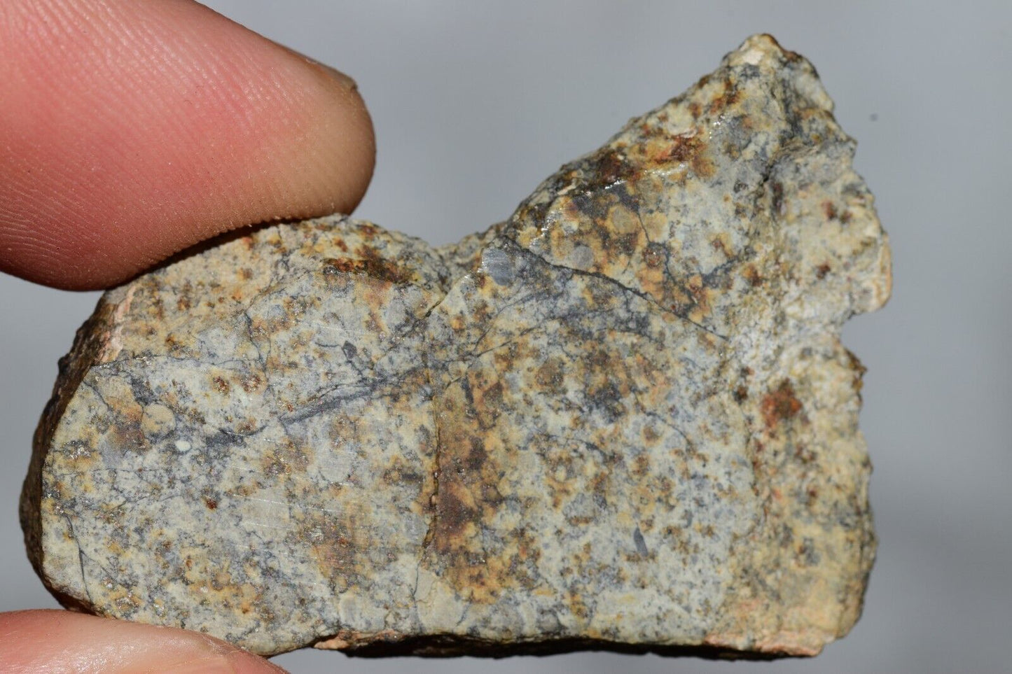 Meteorite Chondrite LL6 NWA 14225 Slice 9.06G with black shock melt veins. W COA - MeteoriteNwa.com