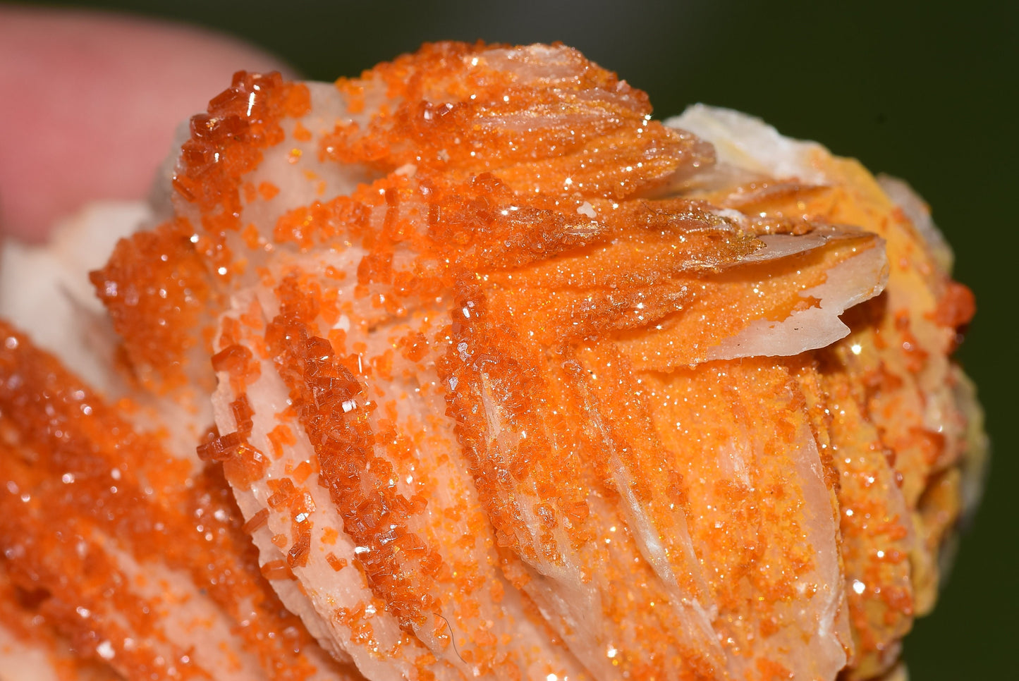 Vanadinite Mineral on Matrix Red Orange Genuine Crystals from Morocco Raw Druzy Natural Specimen Earth Chakra Grounding Gemstone - MeteoriteNwa.com