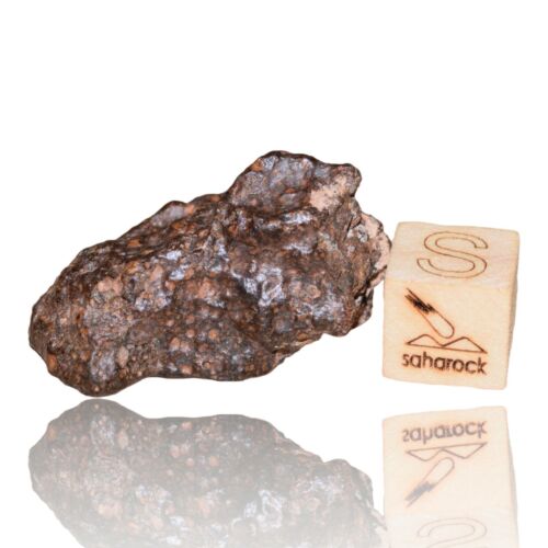 Meteorite CR2 Carbonaceous chondrite Rare NWA 14870 Wonderful 9.03 G Fragment! - MeteoriteNwa.com