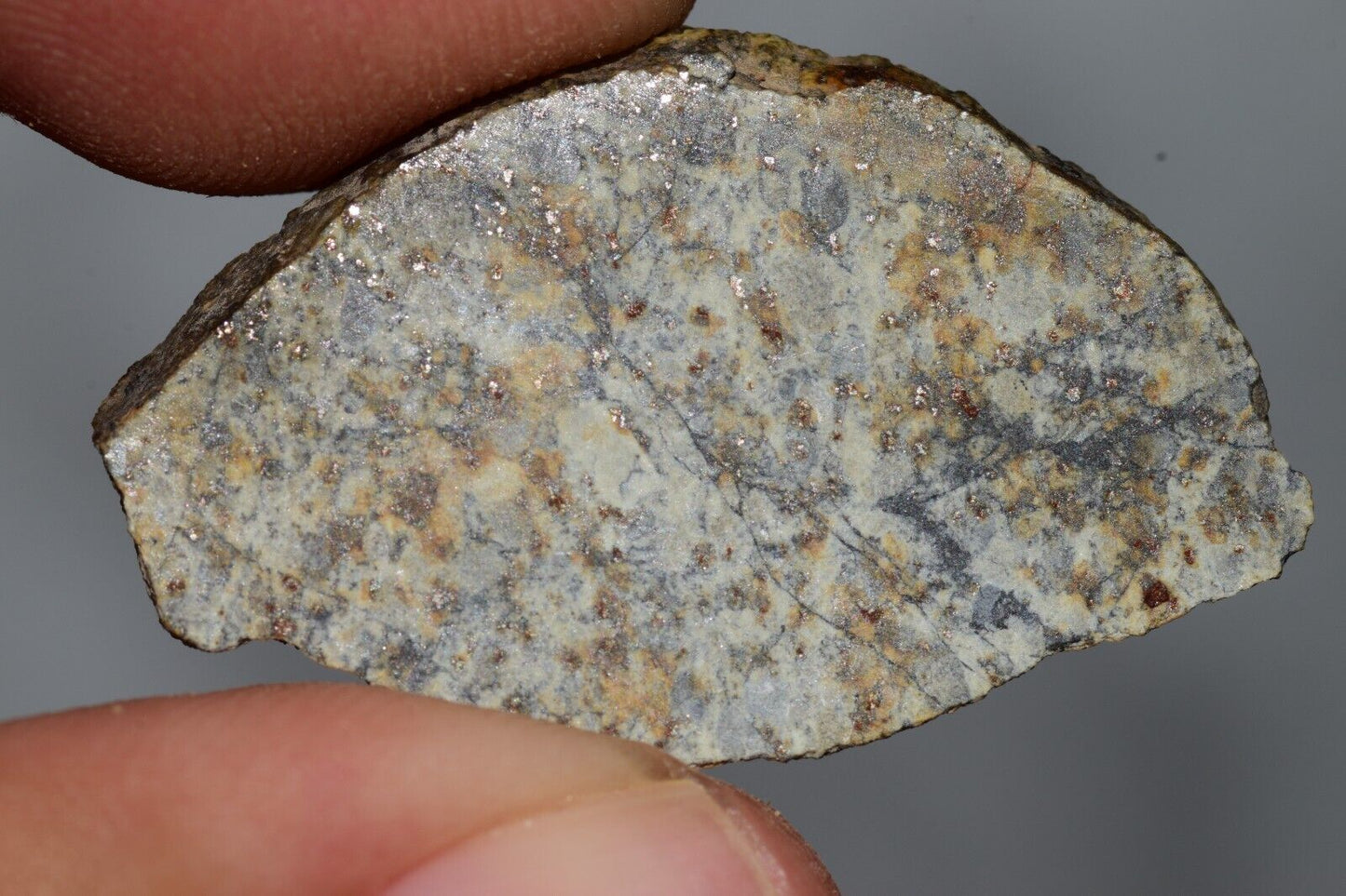 Meteorite Chondrite LL6 NWA 14225 Slice 3.51G with black shock melt veins. W COA - MeteoriteNwa.com