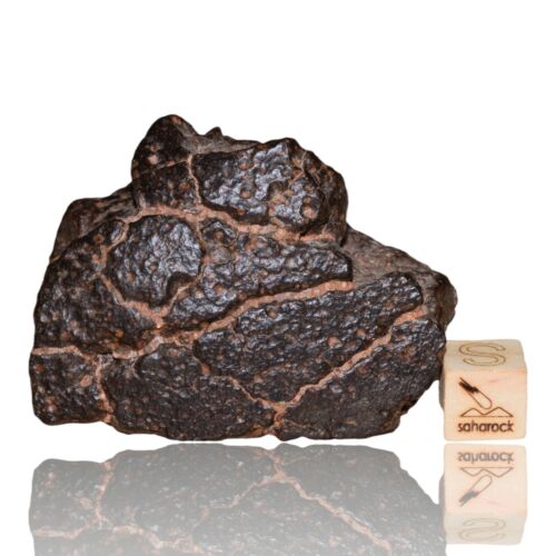 Meteorite CR2 Carbonaceous chondrite Rare NWA 14870 main mass 111.4 G Fragment! - MeteoriteNwa.com