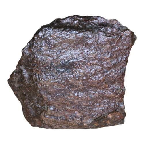 Rare Meteorite Chondrite L3 Melt Breccia NWA 14886 - Only 5 in the World - 80.8g - MeteoriteNwa.com