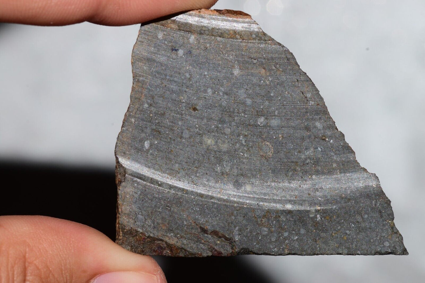 Meteorite Chondrite LL3 NWA 14224 Slice 20.9G with fine-grained dark gray matrix - MeteoriteNwa.com