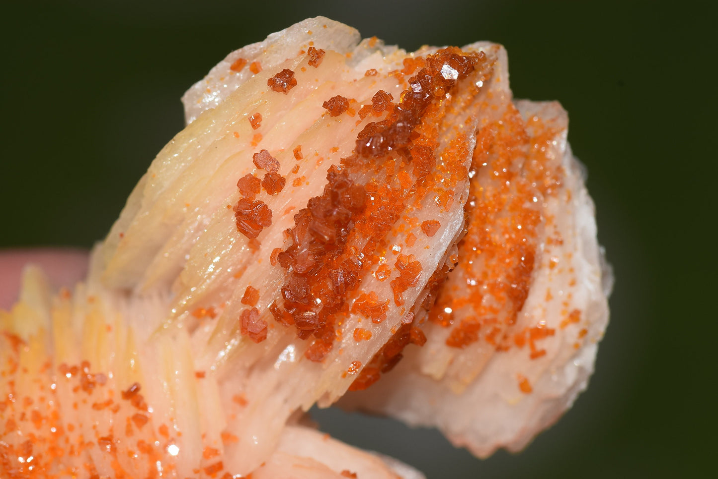Vanadinite Mineral on Matrix Red Orange Genuine Crystals from Morocco Raw Druzy Natural Specimen Earth Chakra Grounding Gemstone - MeteoriteNwa.com