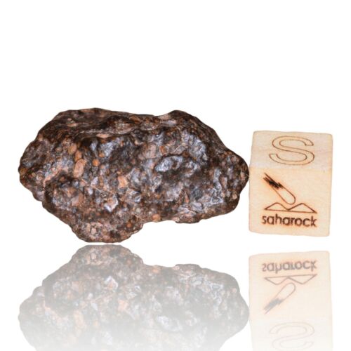Meteorite CR2 Carbonaceous chondrite Rare NWA 14870 Wonderful 9.59 G Fragment! - MeteoriteNwa.com