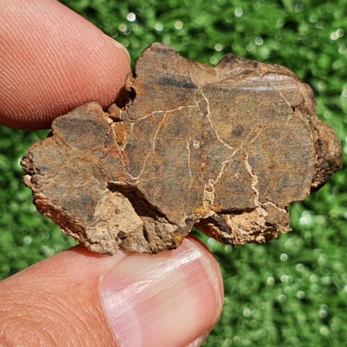 Meteorite Chondrite LL7 NWA 15408 Endcut 26G Brownish rock - MeteoriteNwa.com