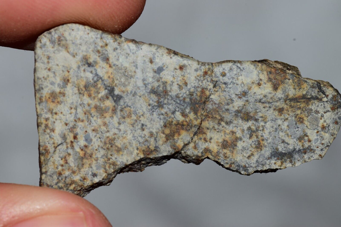 Meteorite Chondrite LL6 NWA 14225 Slice 7.11G with black shock melt veins. W COA - MeteoriteNwa.com