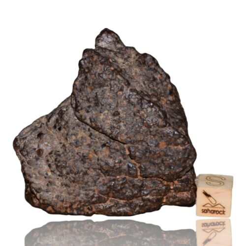 Meteorite CR2 Carbonaceous chondrite Rare NWA 14870 main mass 111.4 G Fragment! - MeteoriteNwa.com