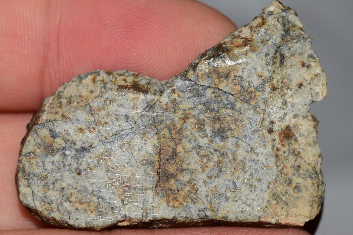 Meteorite Chondrite LL6 NWA 14225 Slice 9.06G with black shock melt veins. W COA - MeteoriteNwa.com