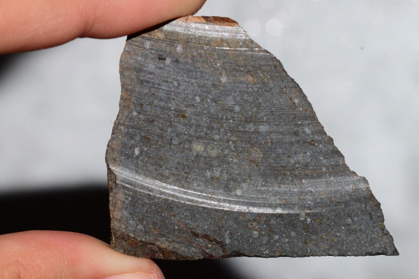 Meteorite Chondrite LL3 NWA 14224 Slice 20.9G with fine-grained dark gray matrix - MeteoriteNwa.com