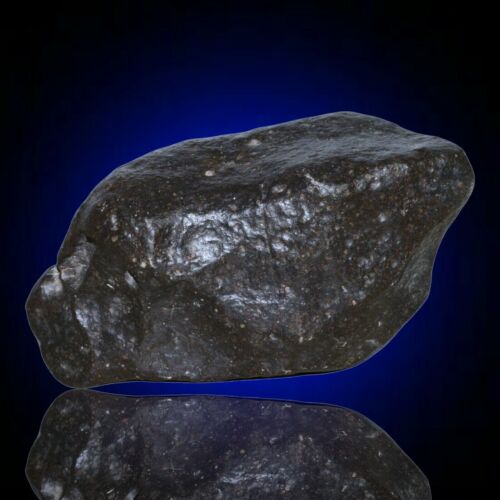 Meteorite chondrite Ordinary H4 NWA 14003 Complete fragment - 229.8g - MeteoriteNwa.com