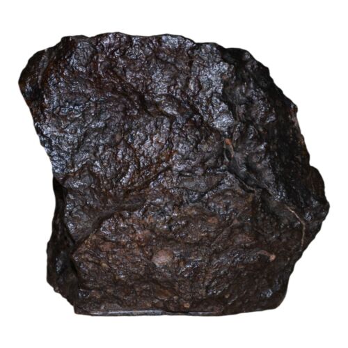 Rare Meteorite Chondrite L3 Melt Breccia NWA 14886 - Only 5 in the World - 80.8g - MeteoriteNwa.com