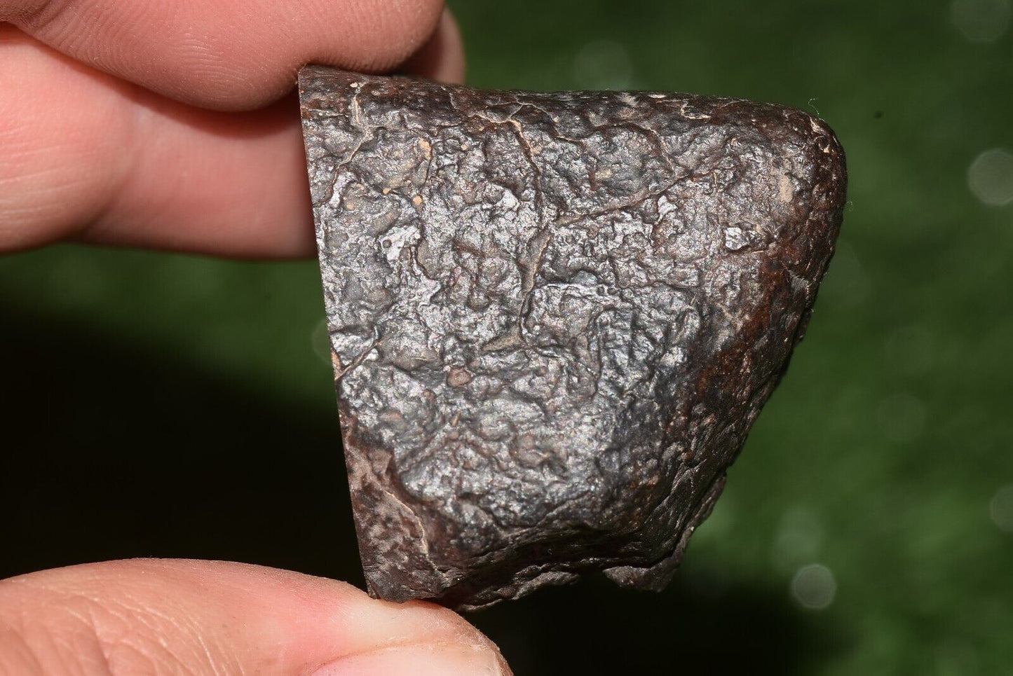Meteorite chondrite Brownish L6 Nwa 15406 Main Mass 49 g - MeteoriteNwa.com