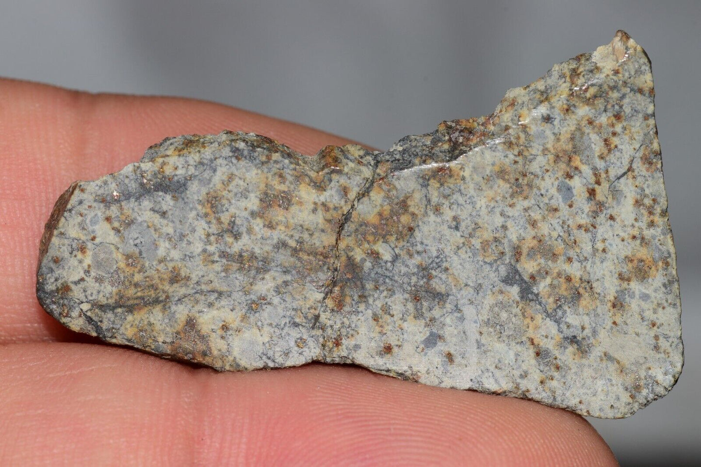Meteorite Chondrite LL6 NWA 14225 Slice 7.11G with black shock melt veins. W COA - MeteoriteNwa.com