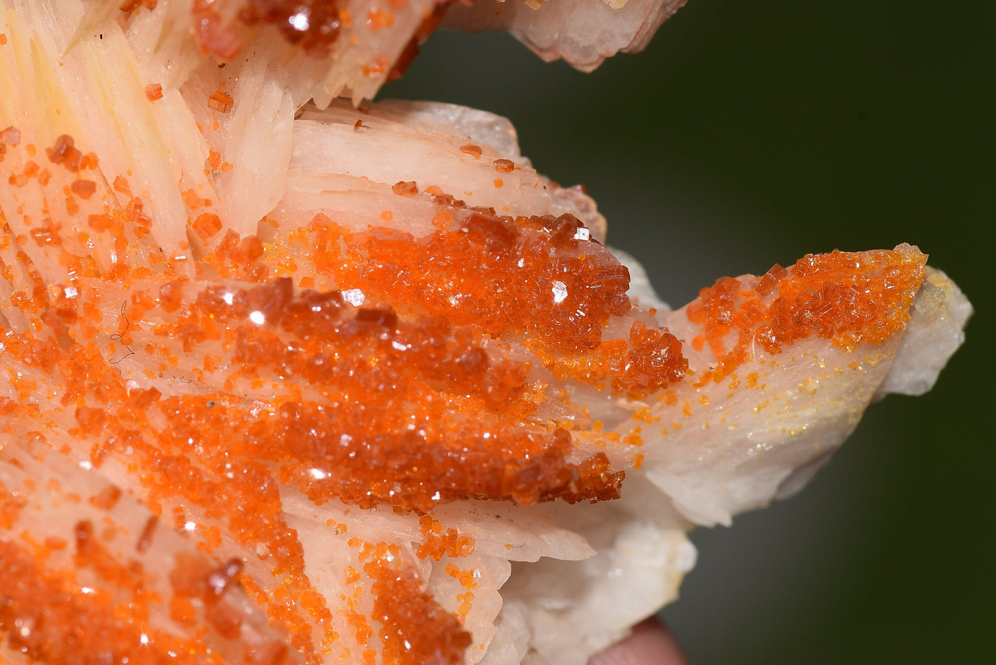 Vanadinite Mineral on Matrix Red Orange Genuine Crystals from Morocco Raw Druzy Natural Specimen Earth Chakra Grounding Gemstone - MeteoriteNwa.com