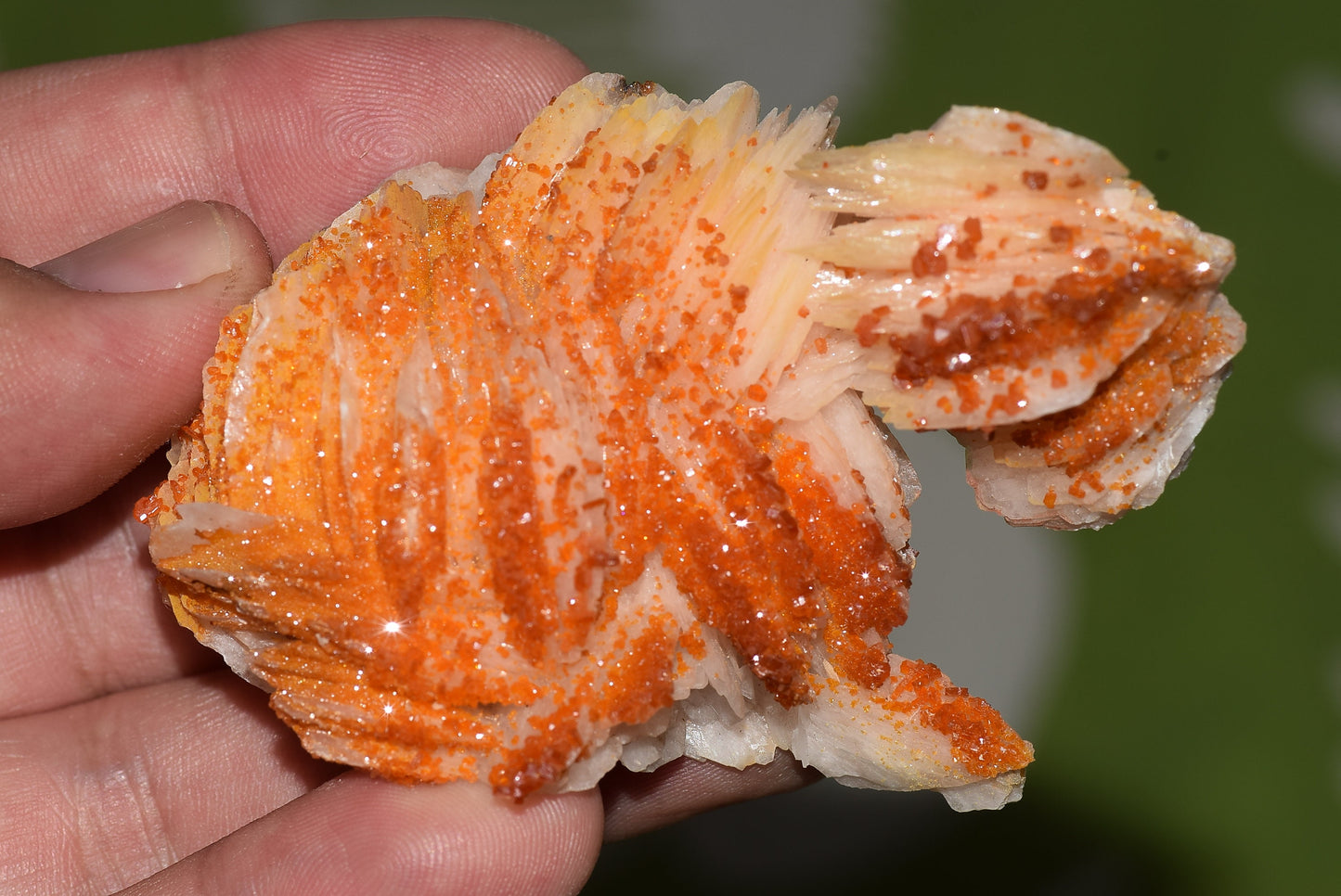 Vanadinite Mineral on Matrix Red Orange Genuine Crystals from Morocco Raw Druzy Natural Specimen Earth Chakra Grounding Gemstone - MeteoriteNwa.com