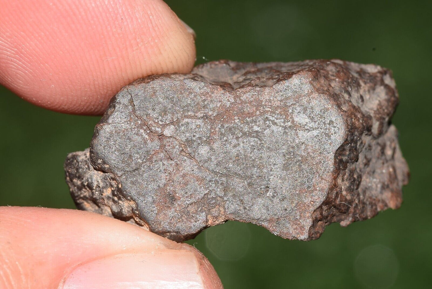 Meteorite chondrite Brownish L6 Nwa 15406 Endcut 10.5 g - MeteoriteNwa.com
