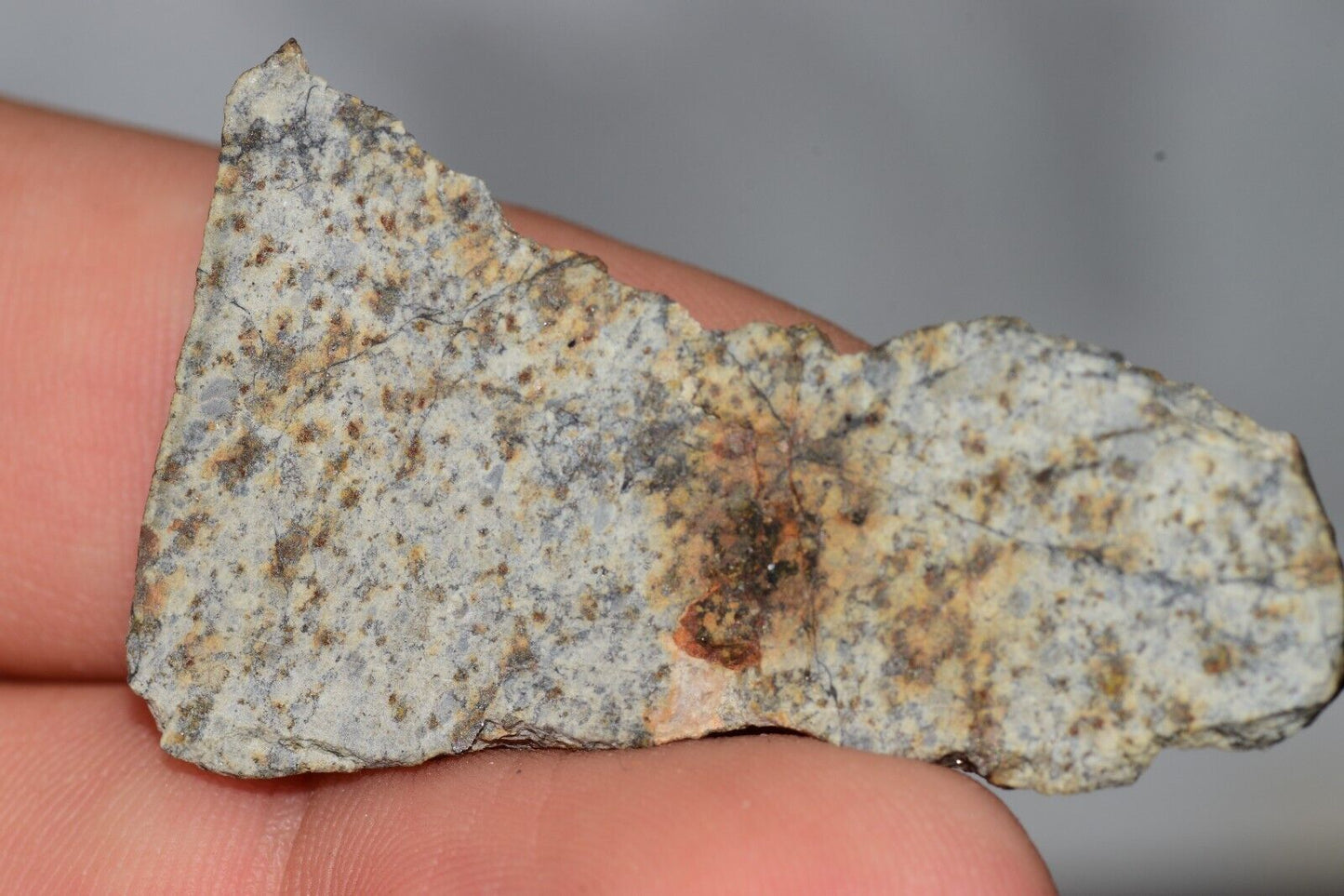 Meteorite Chondrite LL6 NWA 14225 Slice 7.11G with black shock melt veins. W COA - MeteoriteNwa.com