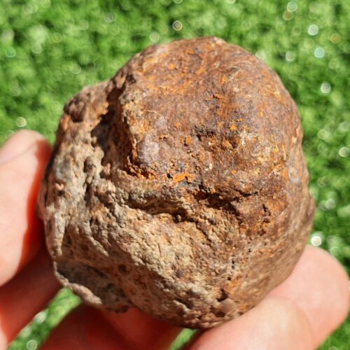 Meteorite L melt rock NWA 15404 Main Mass 148 g With olivine and pyroxene grains - MeteoriteNwa.com