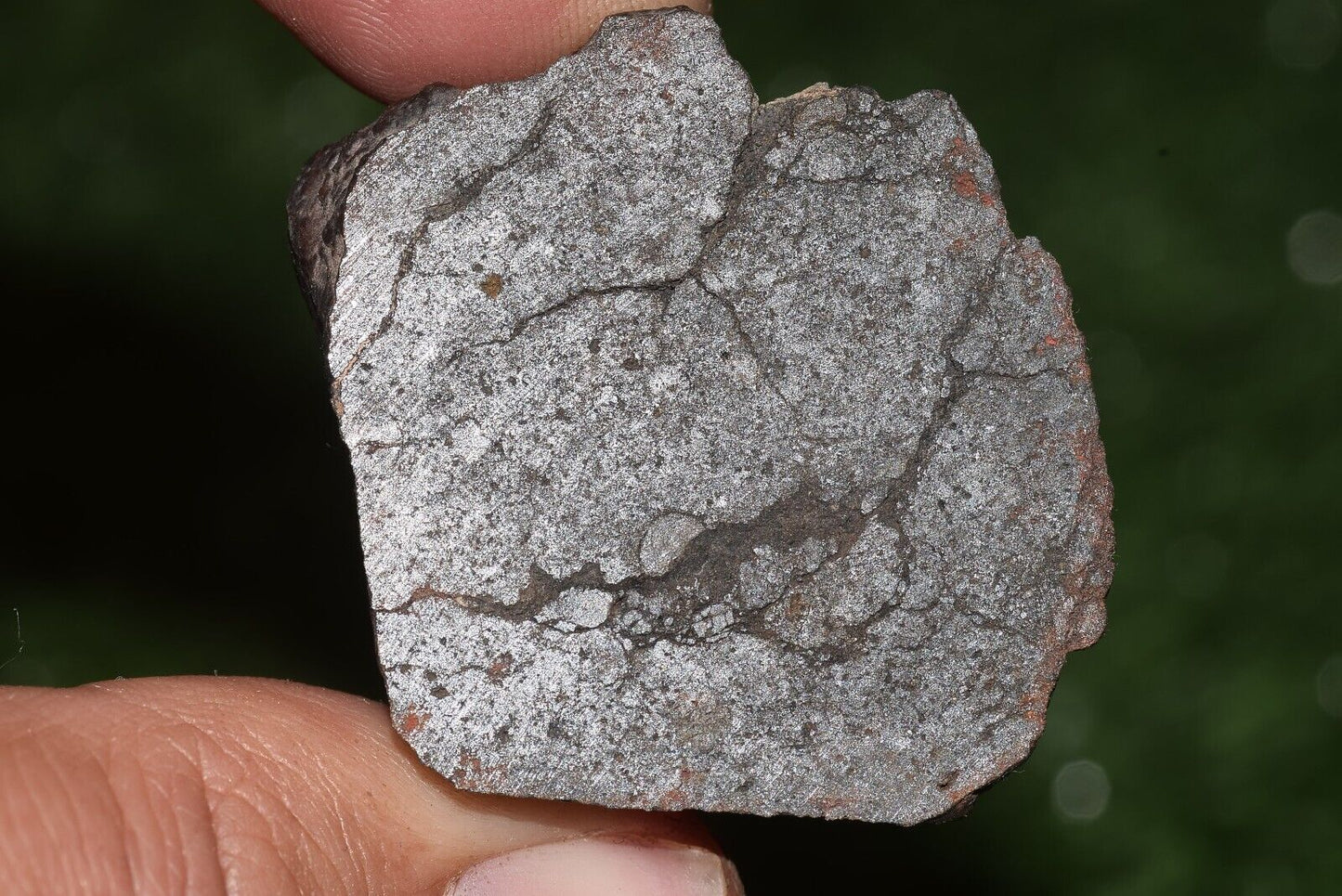 Meteorite chondrite Brownish L6 Nwa 15406 Main Mass 49 g - MeteoriteNwa.com
