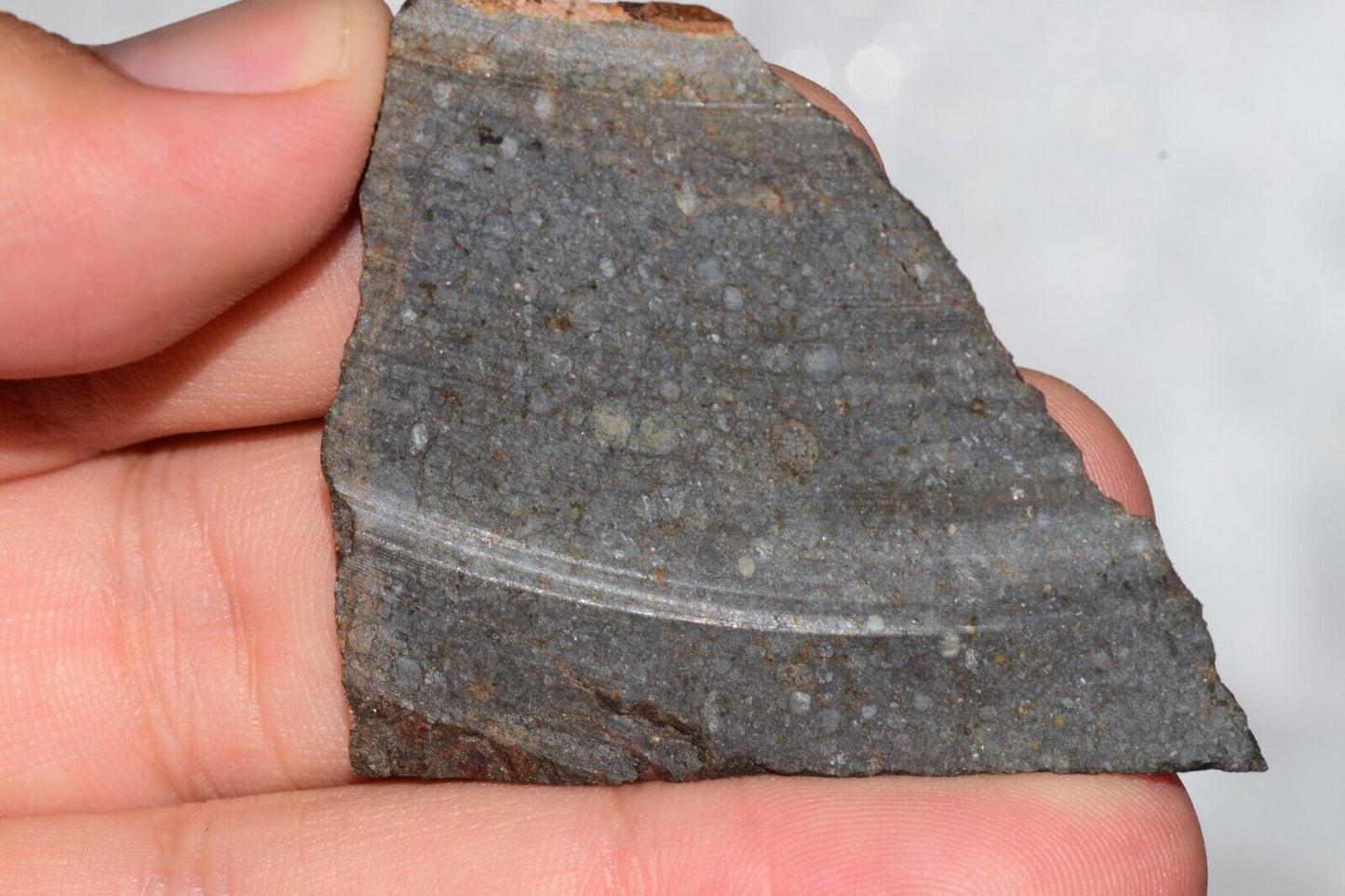 Meteorite Chondrite LL3 NWA 14224 Slice 20.9G with fine-grained dark gray matrix - MeteoriteNwa.com