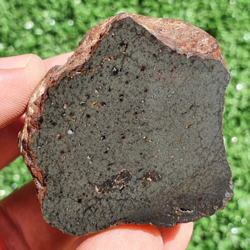 Meteorite L melt rock NWA 15404 Main Mass 148 g With olivine and pyroxene grains - MeteoriteNwa.com