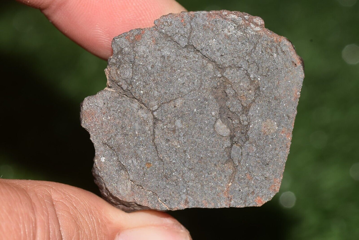 Meteorite chondrite Brownish L6 Nwa 15406 Main Mass 49 g - MeteoriteNwa.com