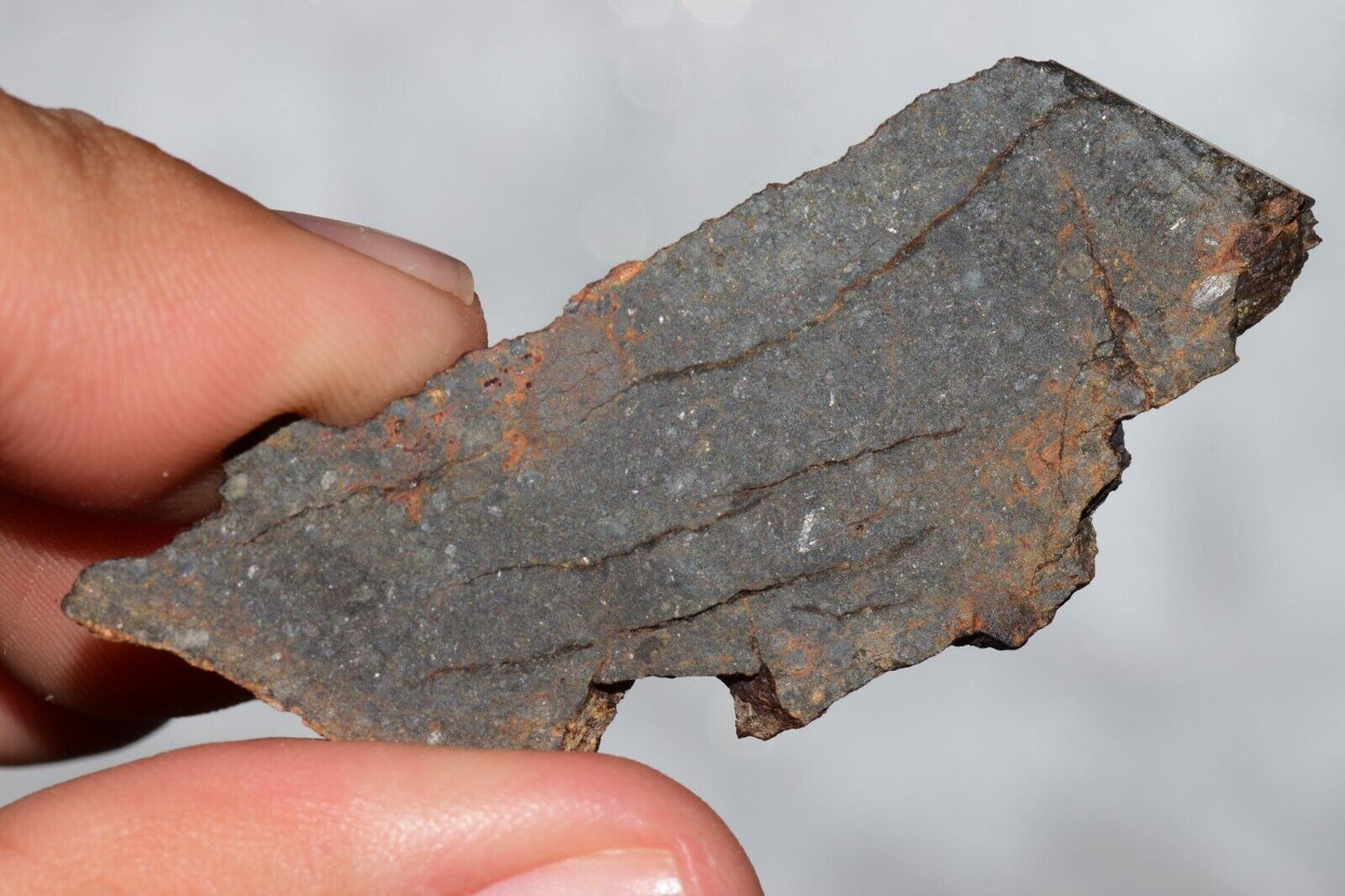 Meteorite Chondrite LL3 NWA 14224 Slice 7.18G with fine-grained dark gray matrix - MeteoriteNwa.com