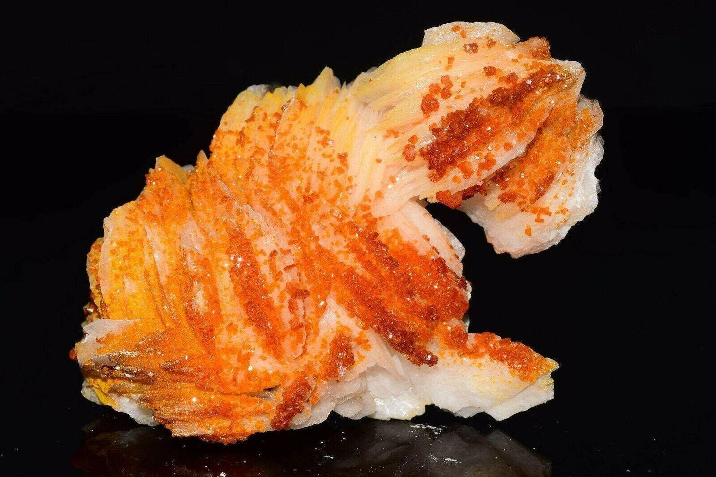 Vanadinite Mineral on Matrix Red Orange Genuine Crystals from Morocco Raw Druzy Natural Specimen Earth Chakra Grounding Gemstone - MeteoriteNwa.com