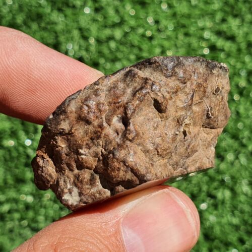 Meteorite Chondrite LL7 NWA 15408 Main Mass 60.6G Brownish rock - MeteoriteNwa.com