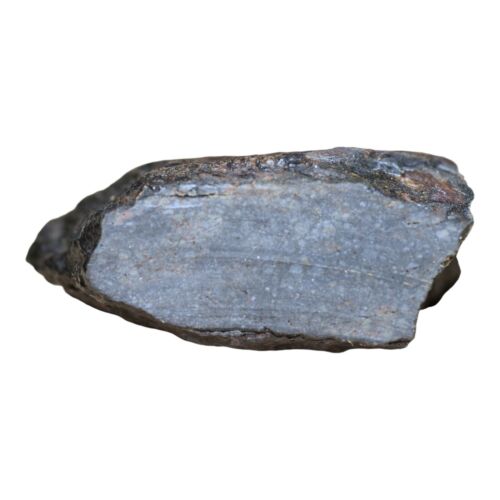 Rare Meteorite Chondrite L3 Melt Breccia NWA 14886 - Only 5 in the World - 80.8g - MeteoriteNwa.com