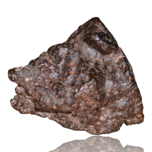 Meteorite CR2 Carbonaceous chondrite Rare NWA 14870 main mass 111.4 G Fragment! - MeteoriteNwa.com