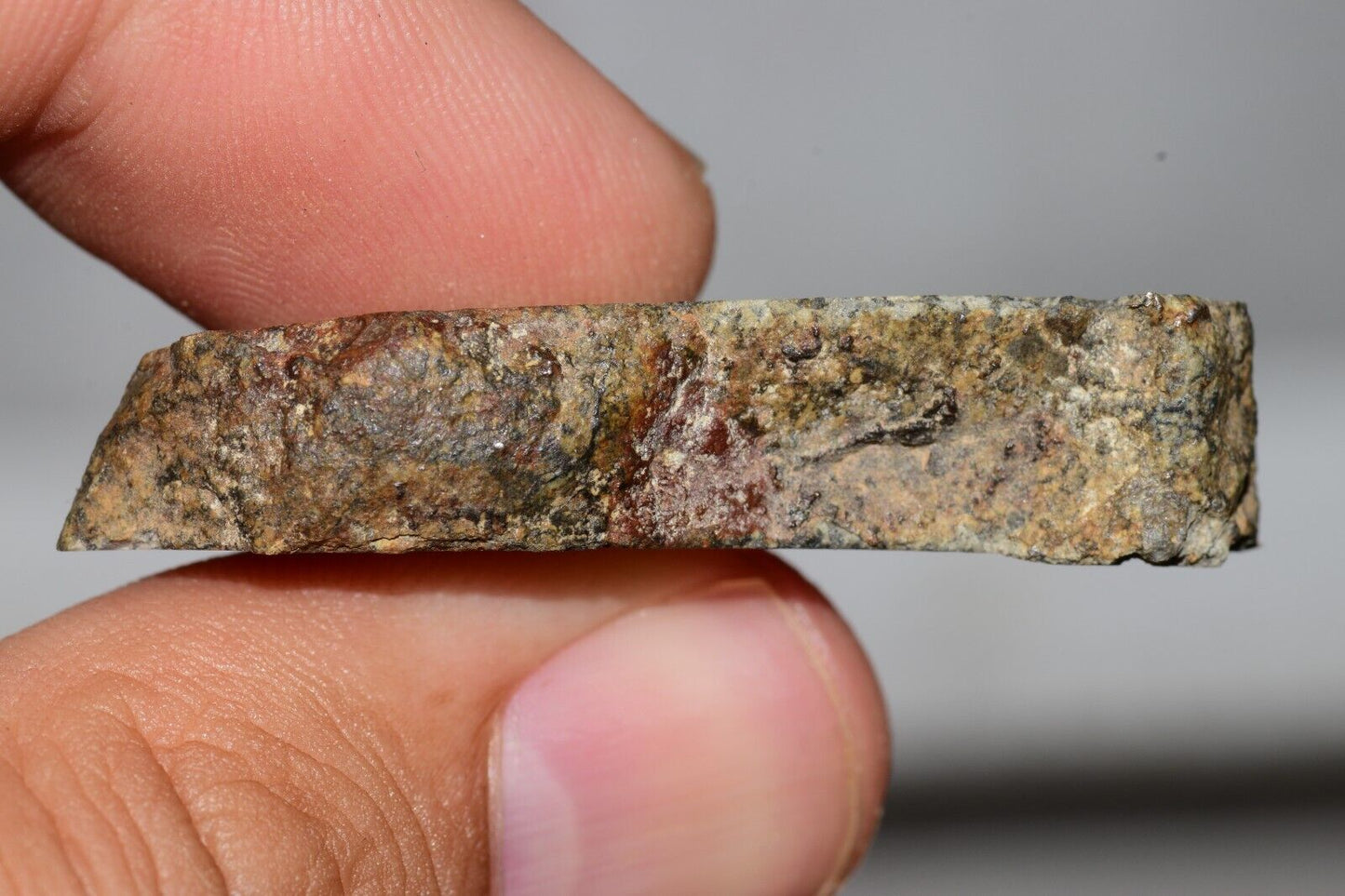 Meteorite Chondrite LL6 NWA 14225 Slice 15.9G with black shock melt veins. W COA - MeteoriteNwa.com