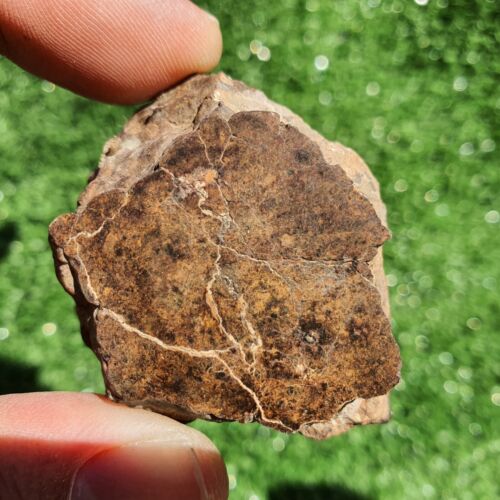 Meteorite Chondrite LL7 NWA 15408 Main Mass 60.6G Brownish rock - MeteoriteNwa.com