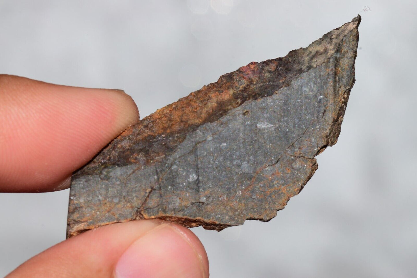 Meteorite Chondrite LL3 NWA 14224 Slice 6.81G with fine-grained dark gray matrix - MeteoriteNwa.com