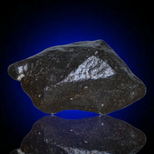Meteorite chondrite Ordinary H4 NWA 14003 Complete fragment - 229.8g - MeteoriteNwa.com