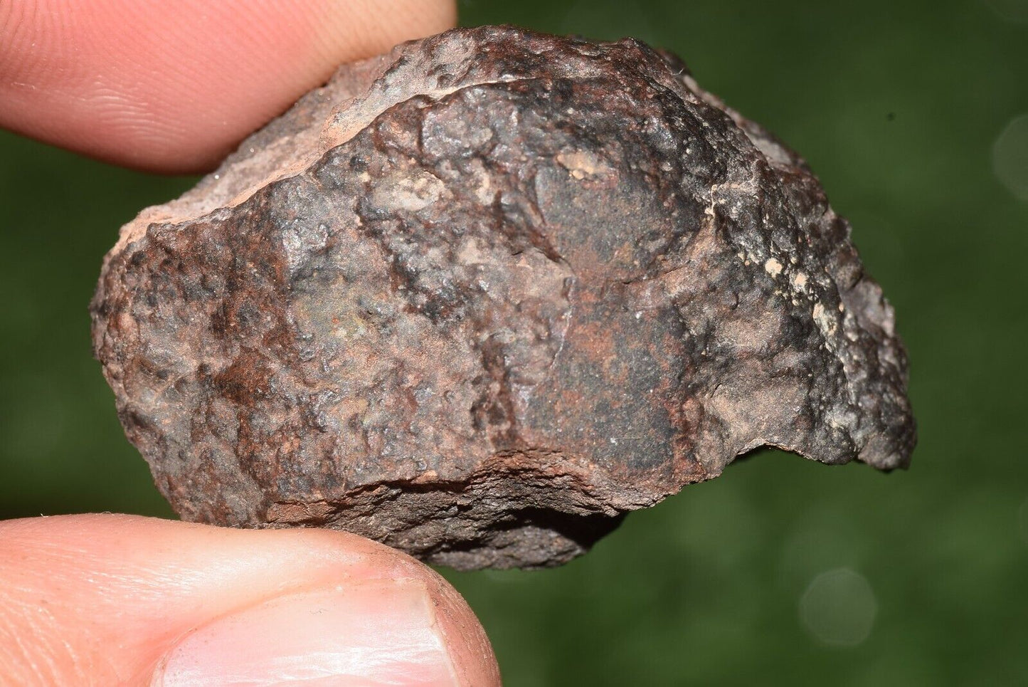 Meteorite chondrite Brownish L6 15406 Endcut 23.6 g - MeteoriteNwa.com