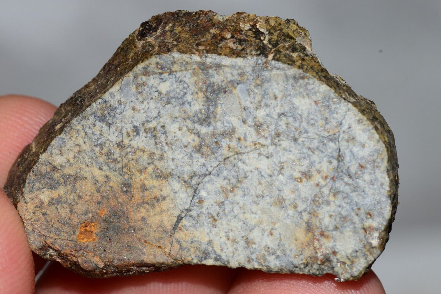 Meteorite Chondrite LL6 NWA 14225 Slice 15.9G with black shock melt veins. W COA - MeteoriteNwa.com
