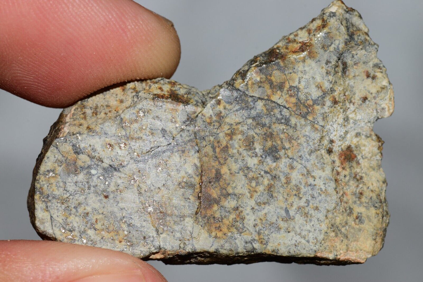 Meteorite Chondrite LL6 NWA 14225 Slice 9.06G with black shock melt veins. W COA - MeteoriteNwa.com