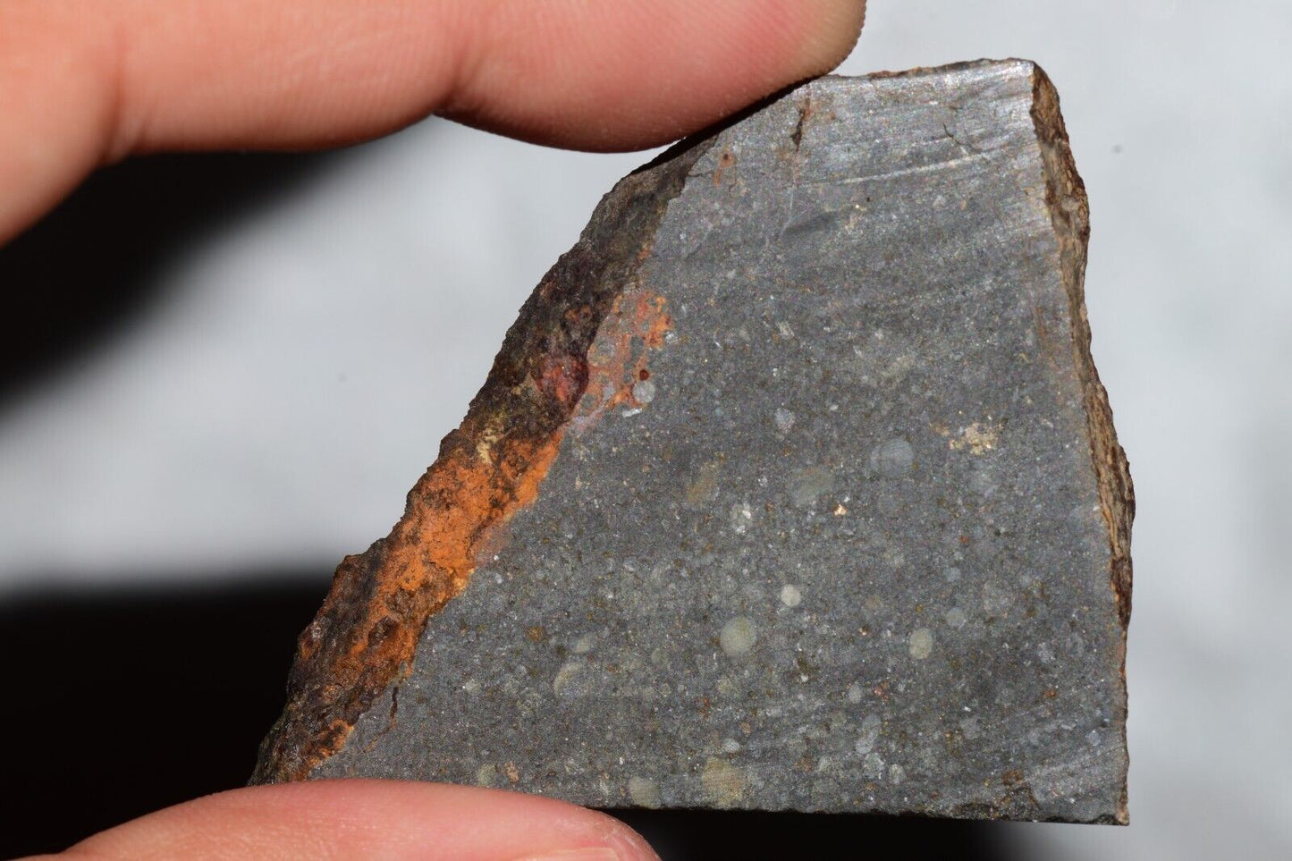 Meteorite Chondrite LL3 NWA 14224 Slice 20.9G with fine-grained dark gray matrix - MeteoriteNwa.com