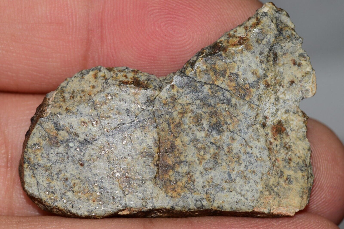Meteorite Chondrite LL6 NWA 14225 Slice 9.06G with black shock melt veins. W COA - MeteoriteNwa.com