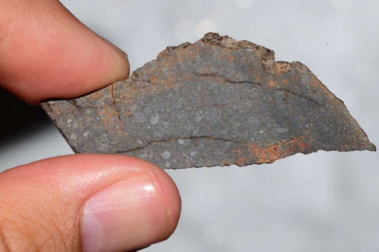 Meteorite Chondrite LL3 NWA 14224 Slice 6.81G with fine-grained dark gray matrix - MeteoriteNwa.com