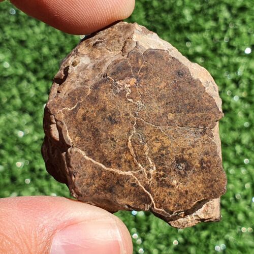 Meteorite Chondrite LL7 NWA 15408 Main Mass 60.6G Brownish rock - MeteoriteNwa.com