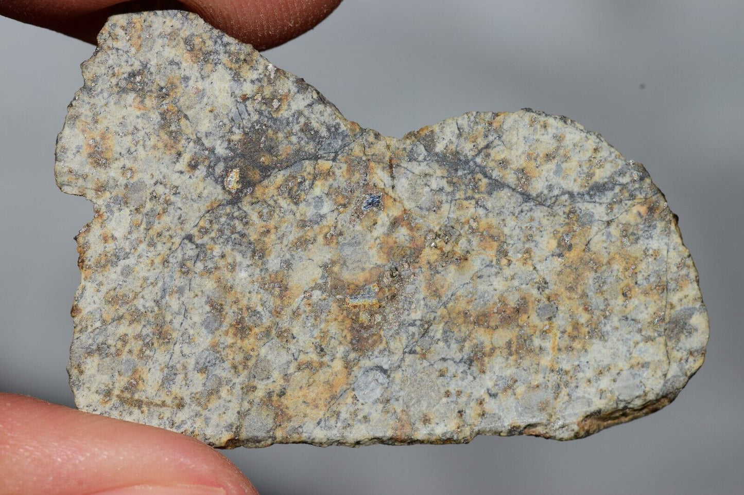 Meteorite Chondrite LL6 NWA 14225 Slice 9.06G with black shock melt veins. W COA - MeteoriteNwa.com