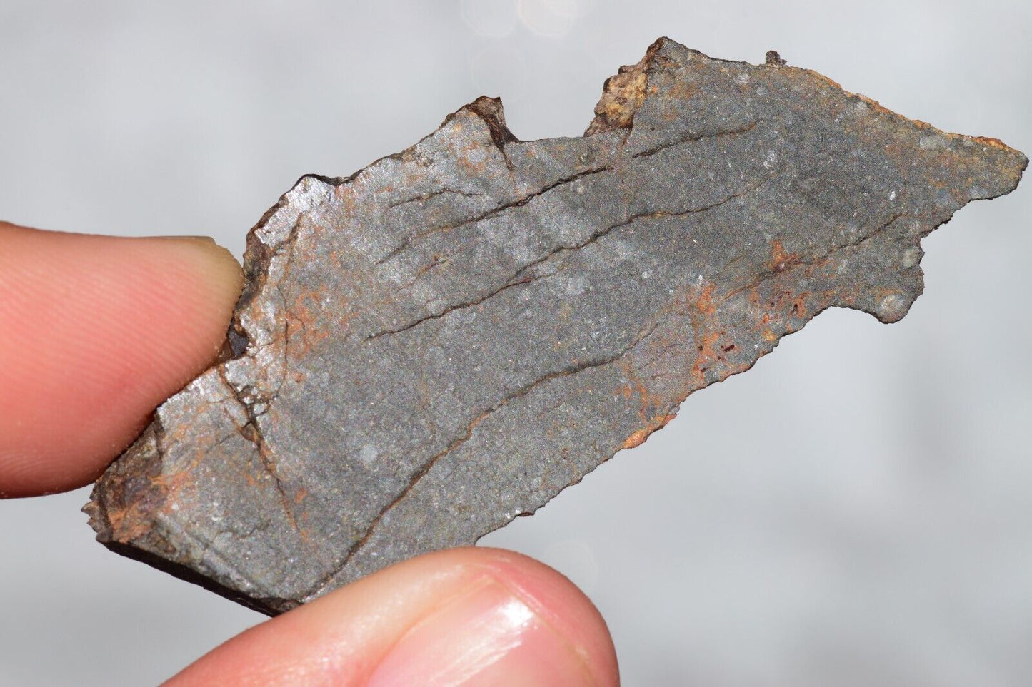 Meteorite Chondrite LL3 NWA 14224 Slice 7.18G with fine-grained dark gray matrix - MeteoriteNwa.com