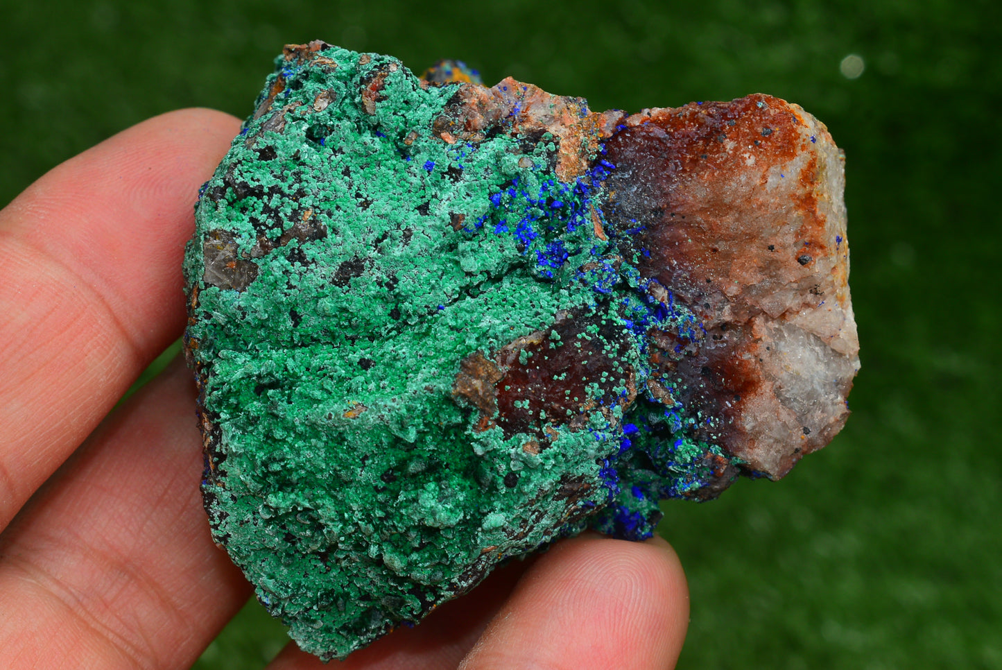 Azurite over Malachite Crystal from Morocco - Freeform Cluster Shape, Natural and Genuine - MeteoriteNwa.com