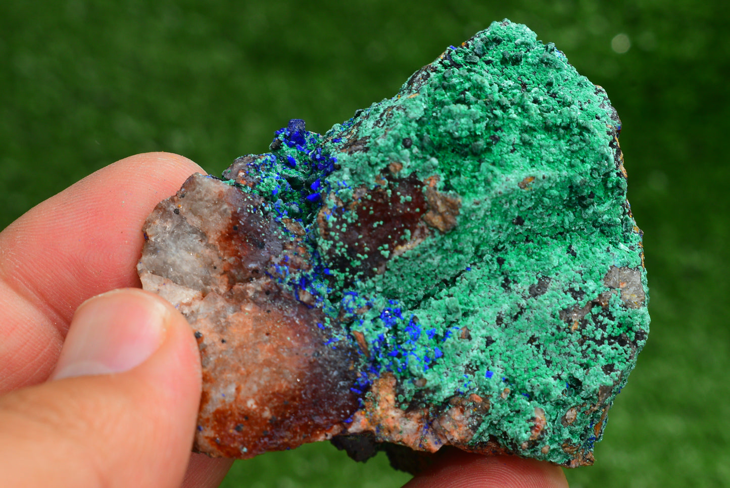 Azurite over Malachite Crystal from Morocco - Freeform Cluster Shape, Natural and Genuine - MeteoriteNwa.com