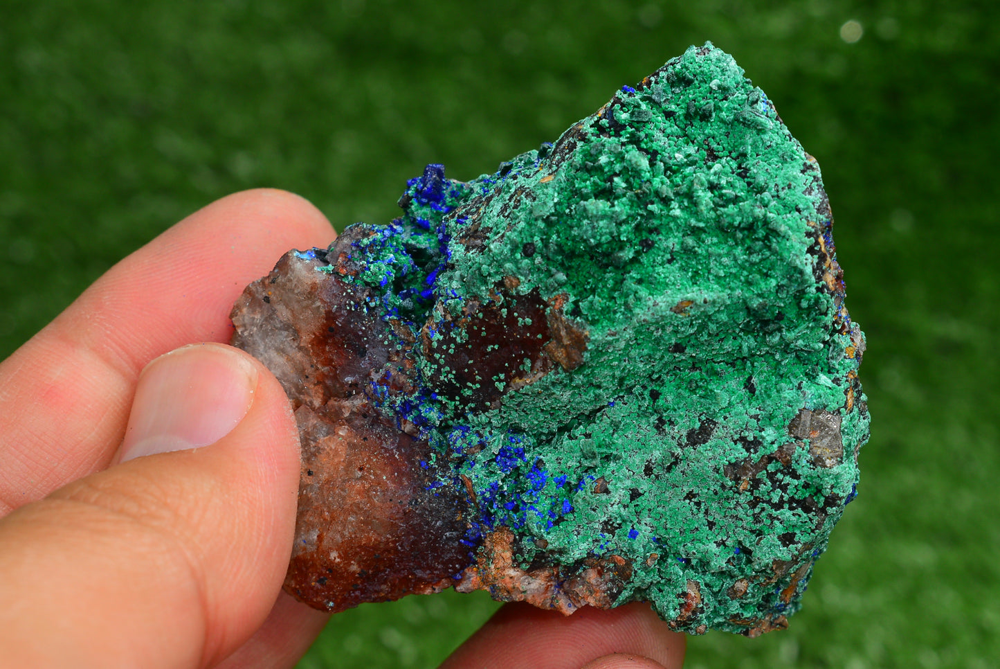 Azurite over Malachite Crystal from Morocco - Freeform Cluster Shape, Natural and Genuine - MeteoriteNwa.com